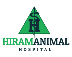 Hiram Animal Hospital
